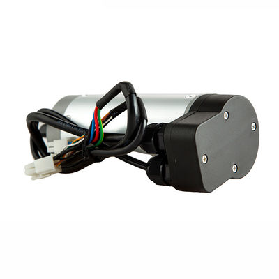 comprare Servomotore DC 24v 100 Watt 2000RPM rapporto di ingranaggi 1:20 basso consumo energetico fabbricazione online